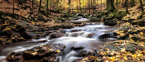 3 Tage Kurzurlaub im Harz