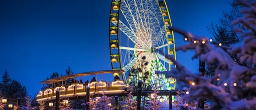 Winterliches Elsass & Europa-Park