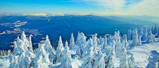 Bayerischer Wald – Landhotel Sportalm