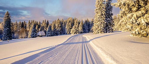 3 Tage Schwarzwald – Nature Titisee