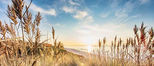 4*Urlaub an der Ostsee - 8 Tage in Zingst