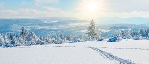 Feiertagsspecial im Schwarzwald