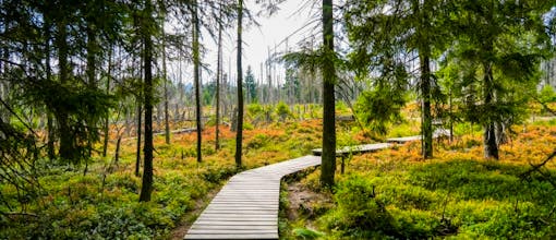 Harz - Urlaubszeit im Hotel Der Wolfshof