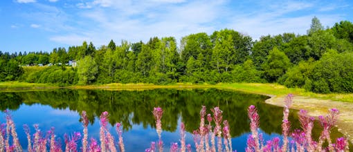 Harz - Urlaubszeit im Hotel Der Wolfshof