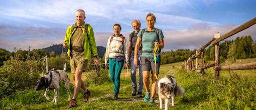 NEU: Harz - Urlaub mit Hund im Der Wolfshof