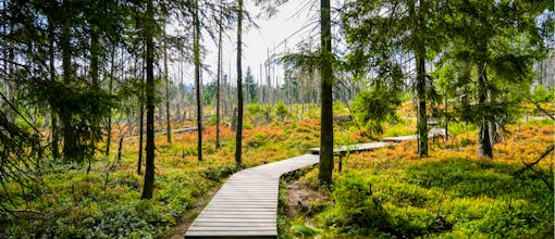 NEU: 4 Tage Harz im Der Wolfshof