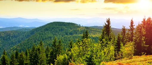 Bayerischer Wald - Maiers Hotel