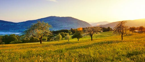 NEU: Steiermark – 4*Boutique Seehotel