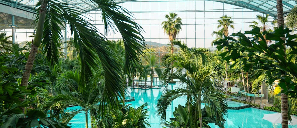 Auszeit im Palmenparadies der Therme Sinsheim
