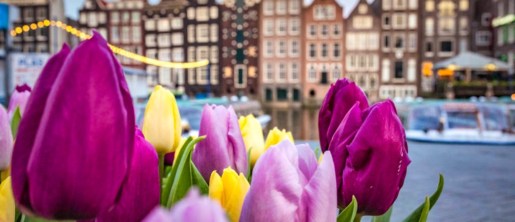3 Tage Amsterdam - 4*Corendon New-West
