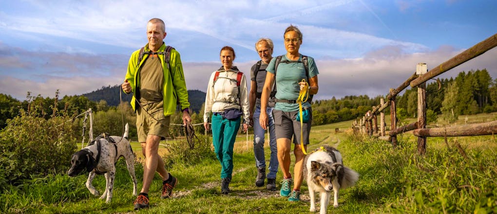 Harz - Urlaub mit Hund im Der Wolfshof