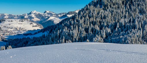 Familienurlaub im Bayerischen Wald - Maiers Hotel