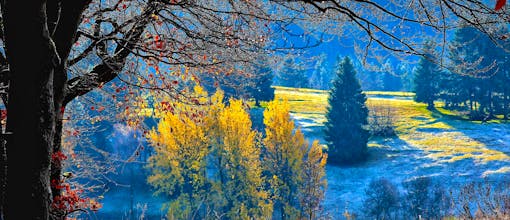 Black Deal: Wohlfühltage im 4*Werrapark Frankenblick