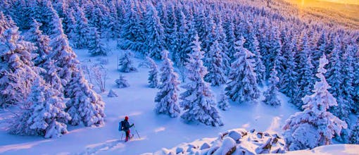 NEU: Thale - CS Harzgeflüster Hotel